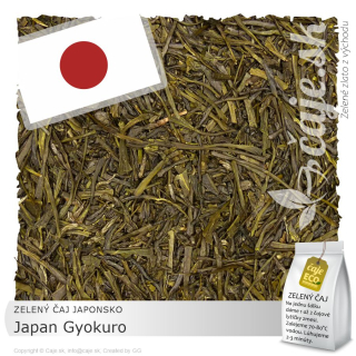 ZELENÝ ČAJ JAPONSKO – Japan Gyokuro (35g)